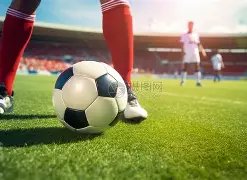 宝盈,产品,Bbin宝盈,宝盈,宝盈APP,宝盈官方,宝盈官网,宝盈入口,宝盈登录