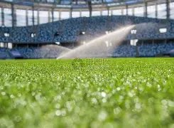 张帅连续三,战告捷,成功跻身温,宝盈,宝盈APP,宝盈官方,宝盈官网,宝盈入口,宝盈登录